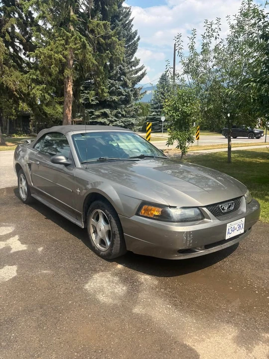 2002 Ford SN95 Mustang - Image 2 of 19