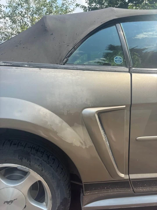 2002 Ford SN95 Mustang - Image 8 of 19