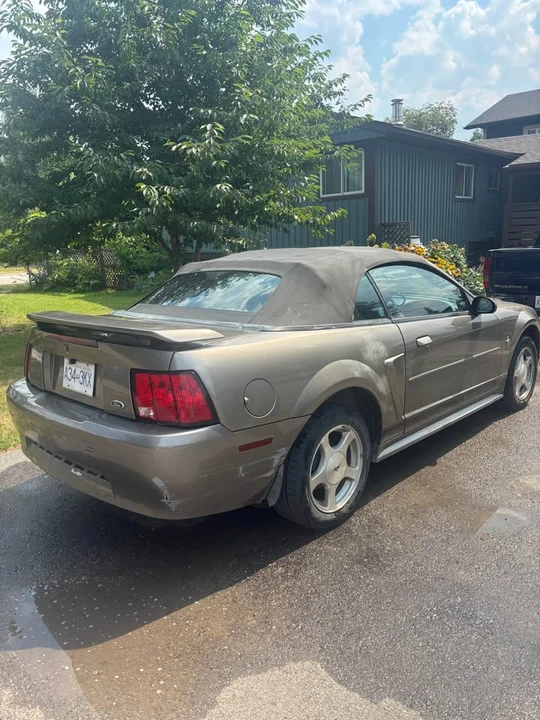 2002 Ford SN95 Mustang - Image 5 of 19