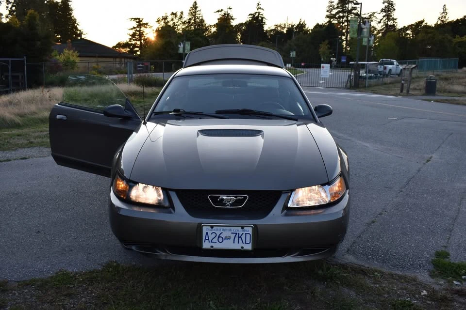 2002 Ford SN95 Mustang - Image 2 of 15