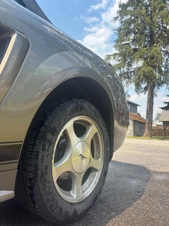 2002 Ford SN95 Mustang - Image 11 of 19