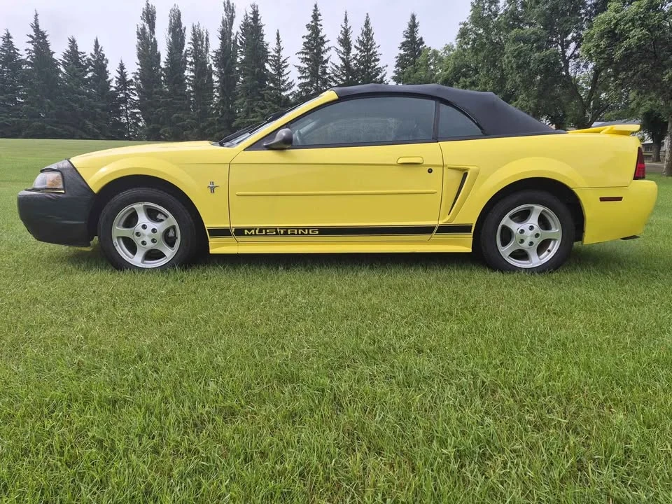 2002 Ford SN95 Mustang - Image 2 of 6