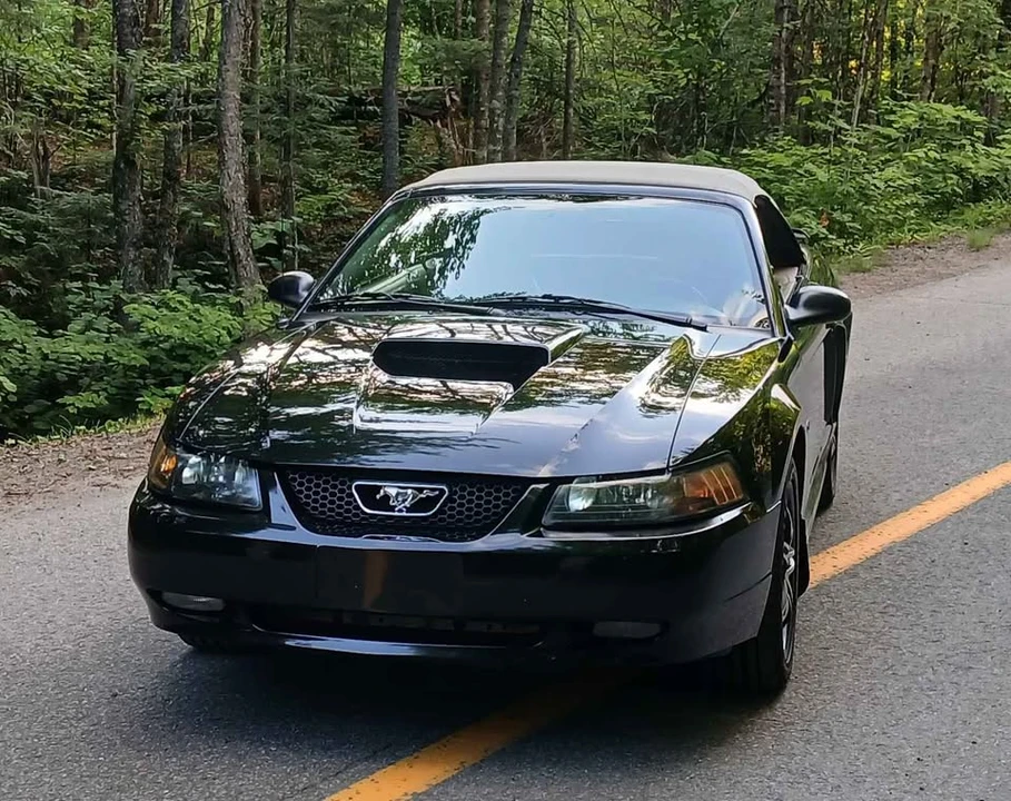 2002 Ford SN95 Mustang - Image 11 of 11