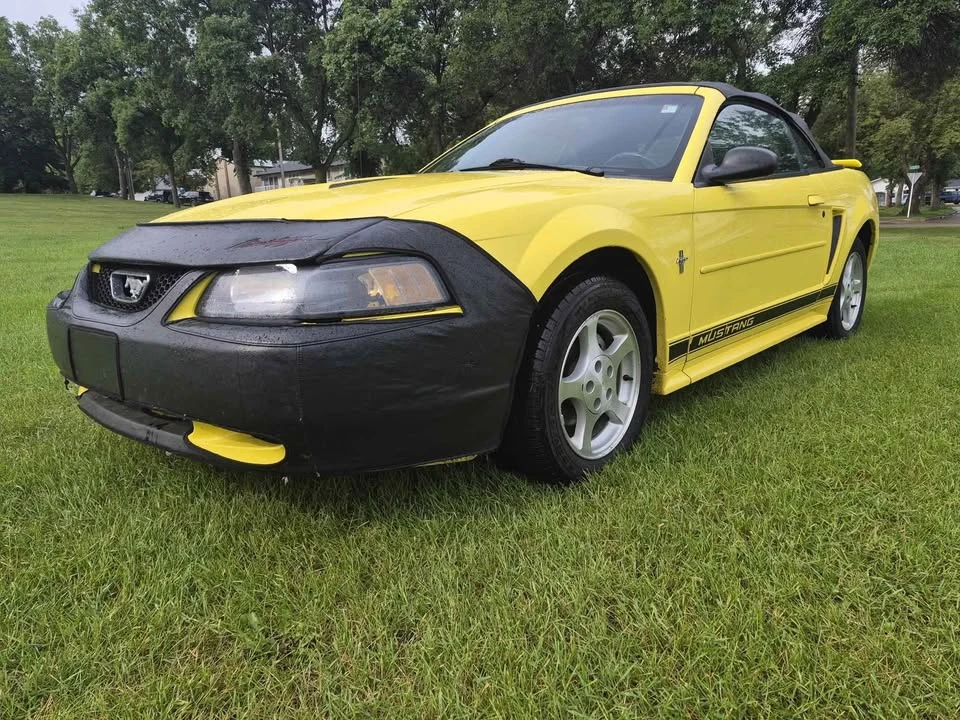 2002 Ford SN95 Mustang - Image 5 of 6