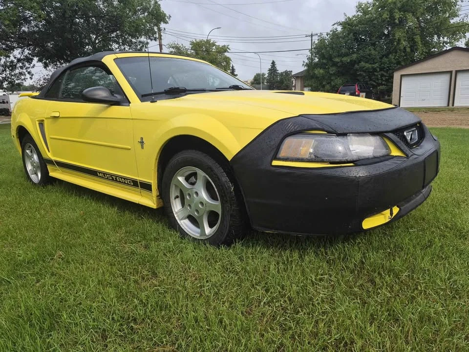 2002 Ford SN95 Mustang - Image 3 of 6