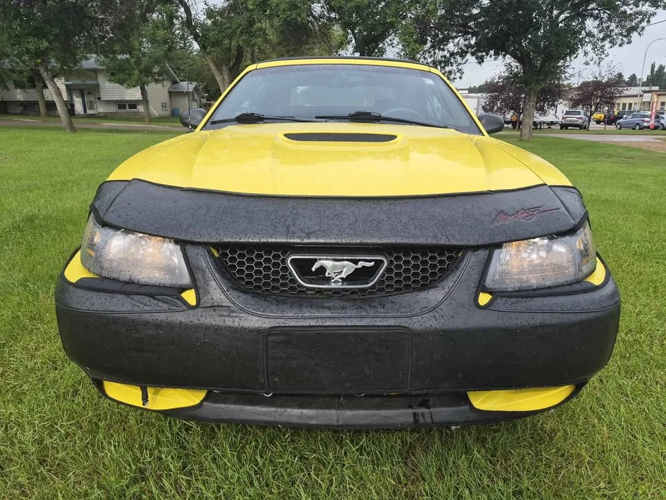 2002 Ford SN95 Mustang - Image 4 of 6