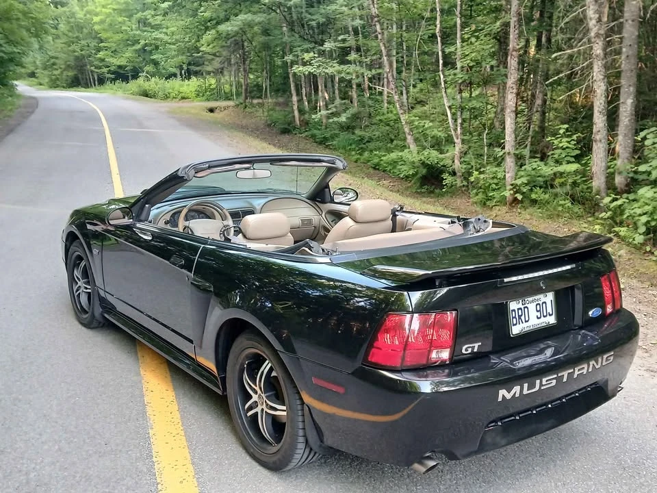 2002 Ford SN95 Mustang - Image 10 of 11