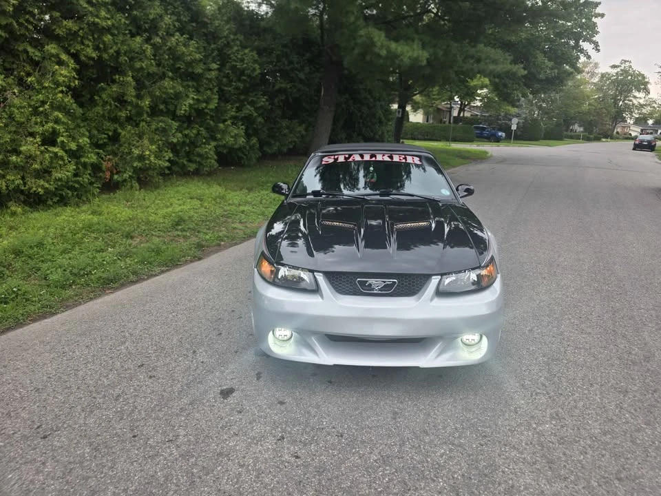 2002 Ford SN95 Mustang - Image 2 of 10
