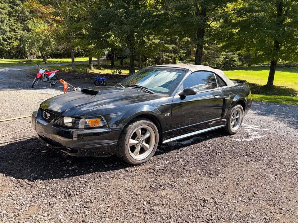 2002 Ford SN95 Mustang - Image 3 of 7