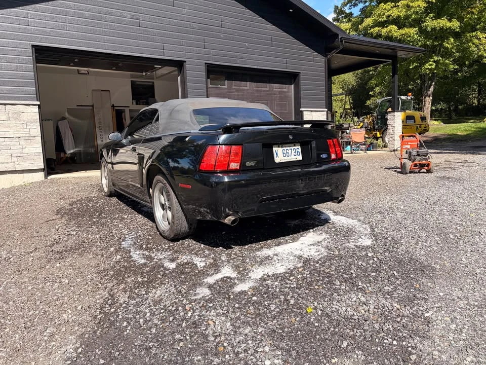 2002 Ford SN95 Mustang - Image 6 of 7