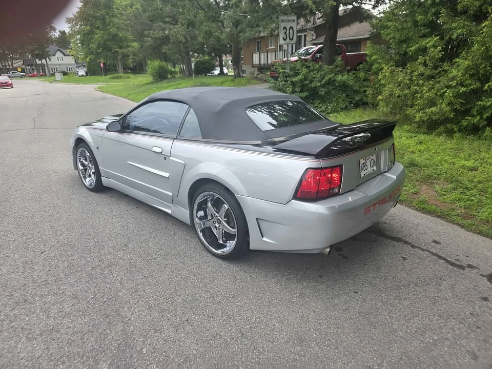 2002 Ford SN95 Mustang - Image 8 of 10