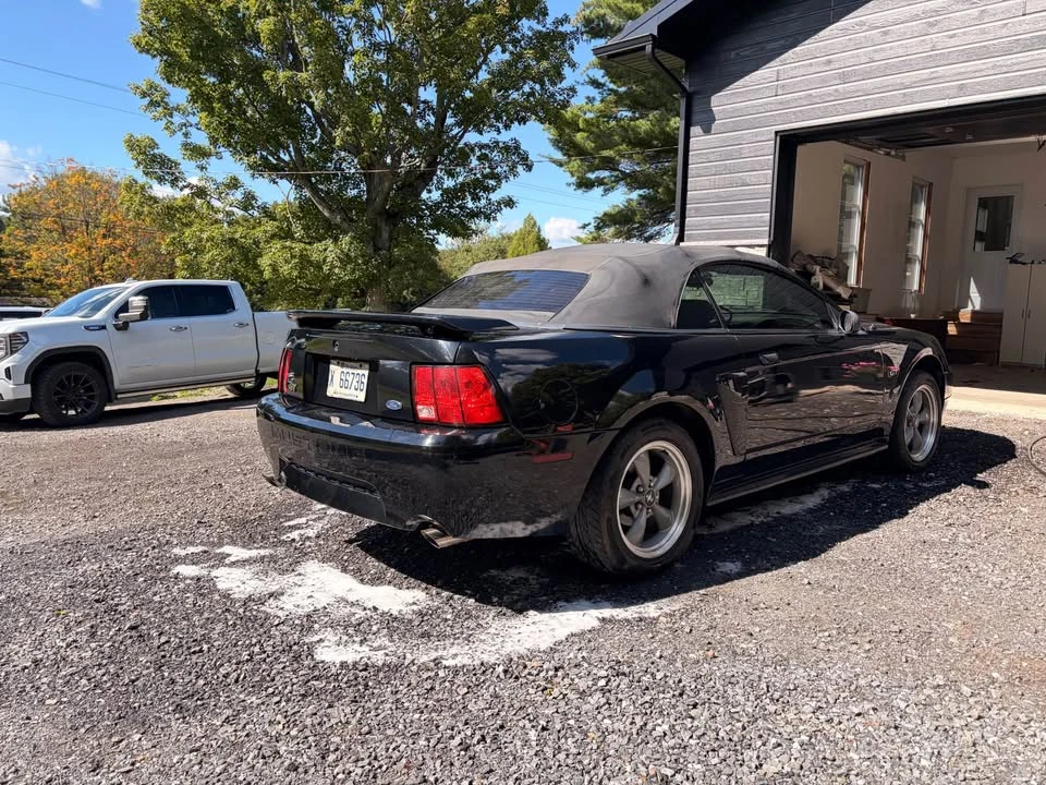 2002 Ford SN95 Mustang - Image 7 of 7