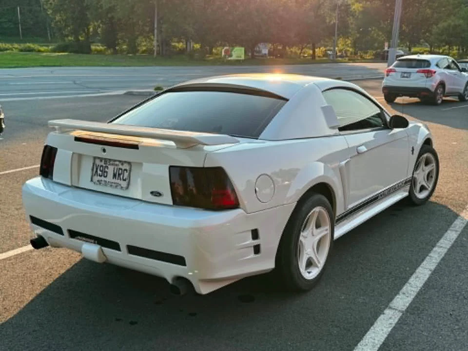 2002 Ford SN95 Mustang - Image 7 of 7