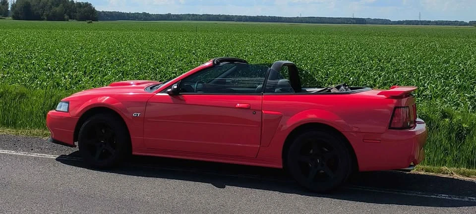 2002 Ford SN95 Mustang - Image 2 of 17