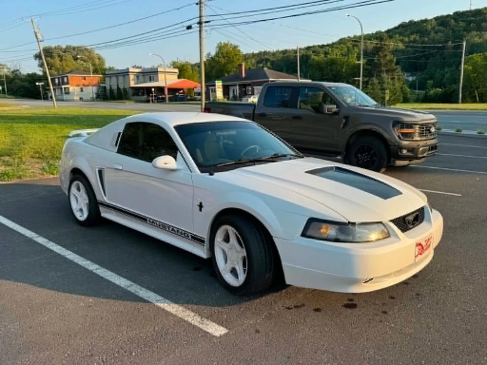 2002 Ford SN95 Mustang - Image 3 of 7
