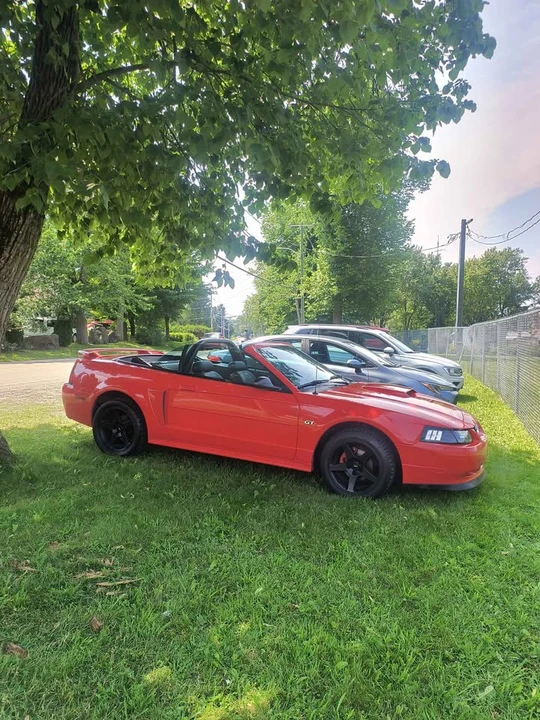2002 Ford SN95 Mustang - Image 3 of 17