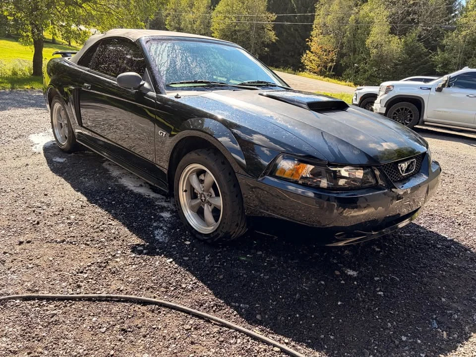 2002 Ford SN95 Mustang - Image 4 of 7