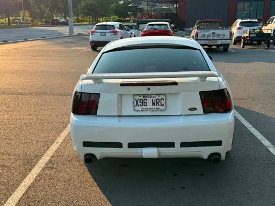 2002 Ford SN95 Mustang - Image 4 of 7