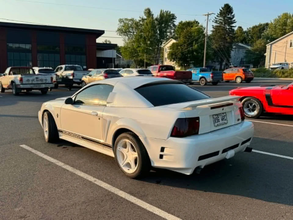 2002 Ford SN95 Mustang - Image 5 of 7