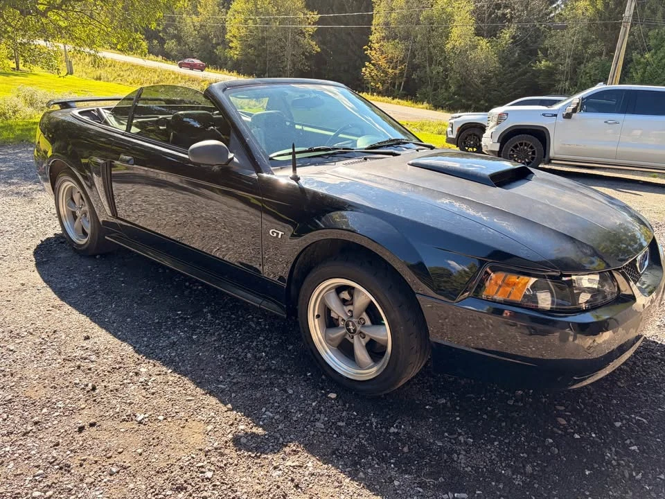2002 Ford SN95 Mustang - Image 2 of 7