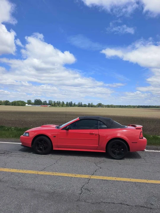 2002 Ford SN95 Mustang - Image 5 of 17