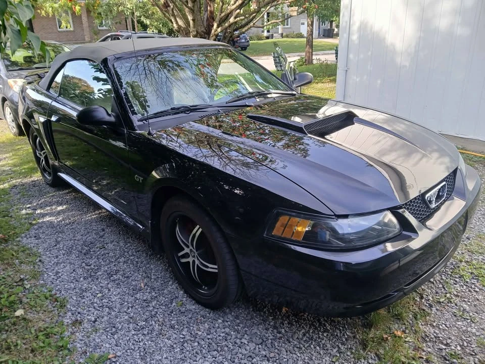 2002 Ford SN95 Mustang - Image 3 of 11