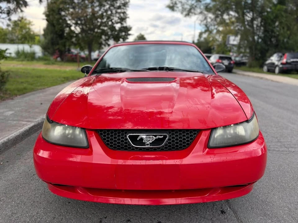 2002 Ford SN95 Mustang - Image 2 of 15
