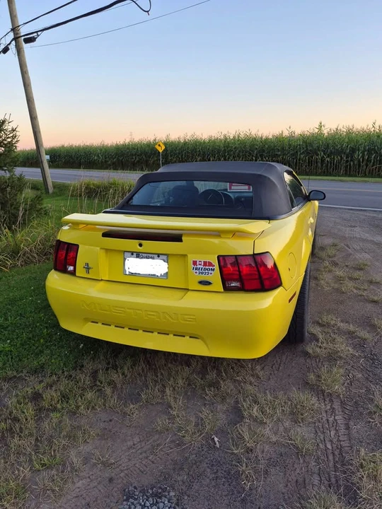2002 Ford SN95 Mustang - Image 3 of 4