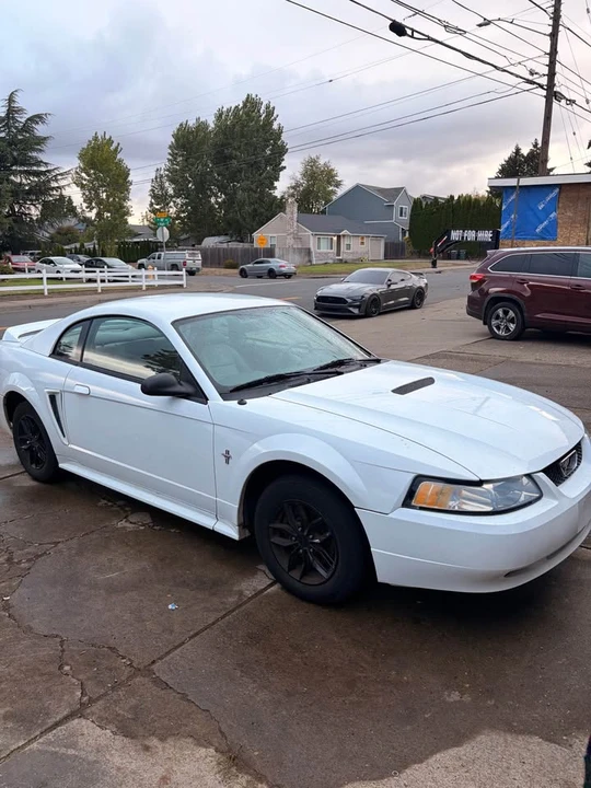 2002 Ford SN95 Mustang - Image 4 of 13