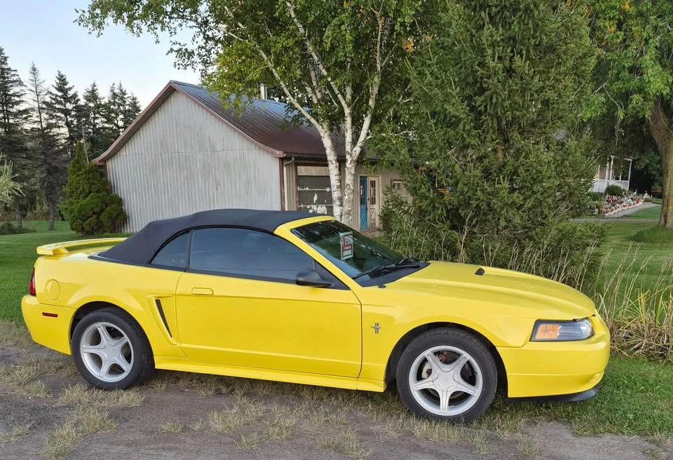 2002 Ford SN95 Mustang - Image 2 of 4