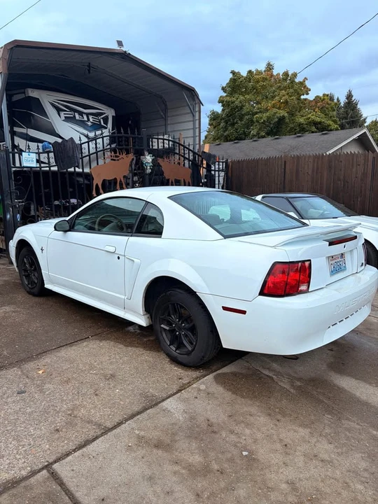 2002 Ford SN95 Mustang - Image 3 of 13