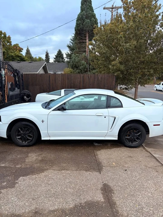 2002 Ford SN95 Mustang - Image 2 of 13