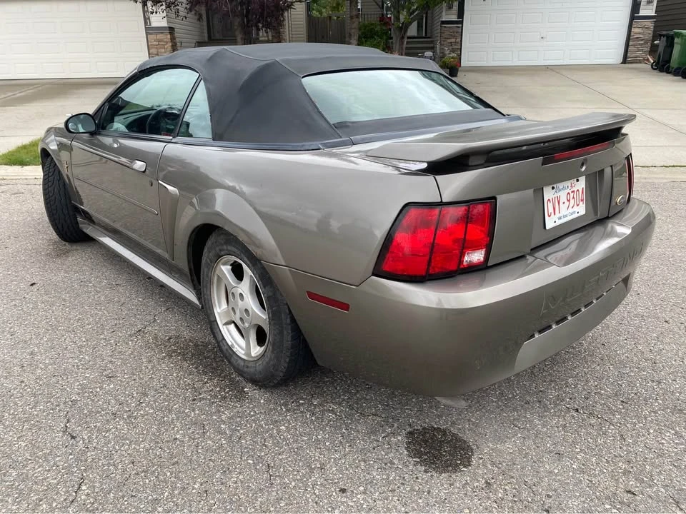 2002 Ford SN95 Mustang - Image 6 of 9