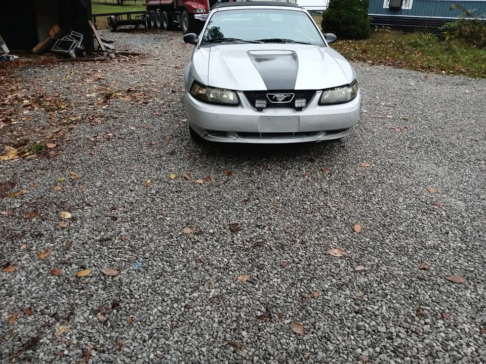 2002 Ford SN95 Mustang - Image 5 of 5