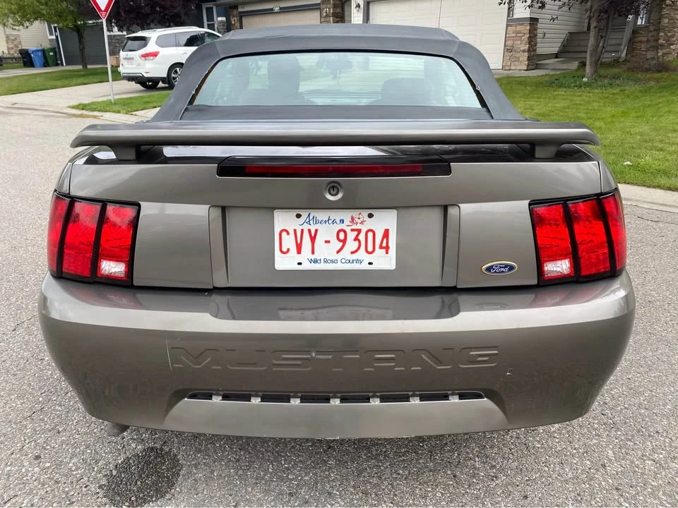 2002 Ford SN95 Mustang - Image 7 of 9