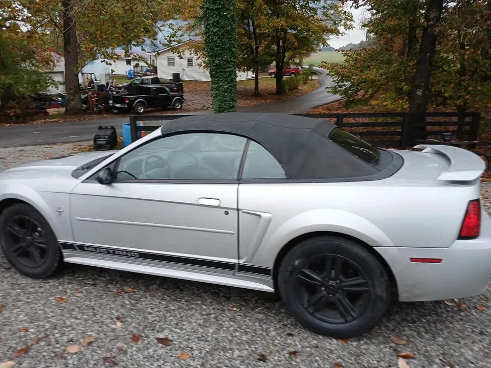2002 Ford SN95 Mustang - Image 3 of 5