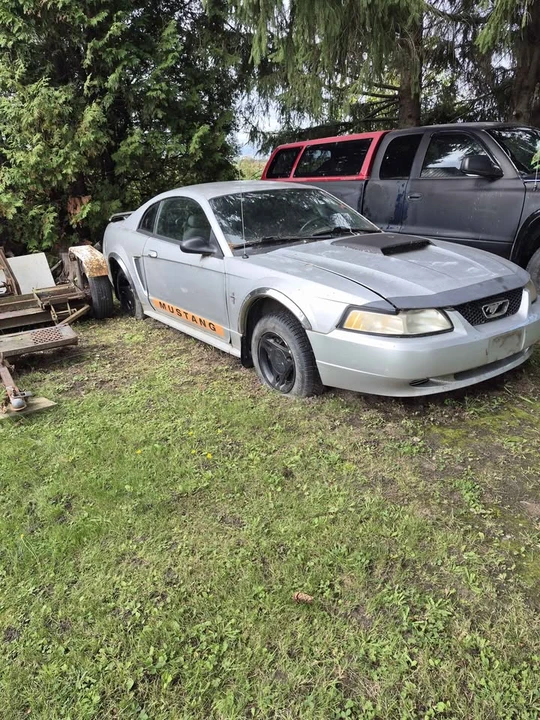 2002 Ford SN95 Mustang - Image 2 of 2