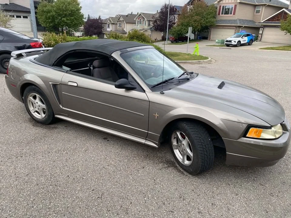 2002 Ford SN95 Mustang - Image 3 of 9