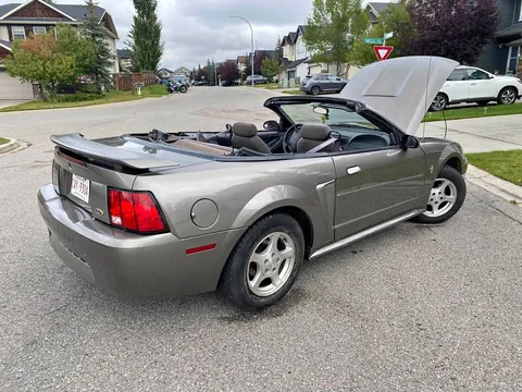 2002 Ford Mustang Convertible