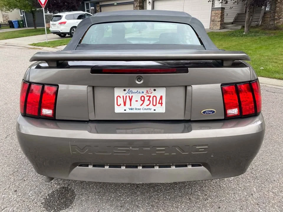 2002 Ford SN95 Mustang - Image 6 of 9