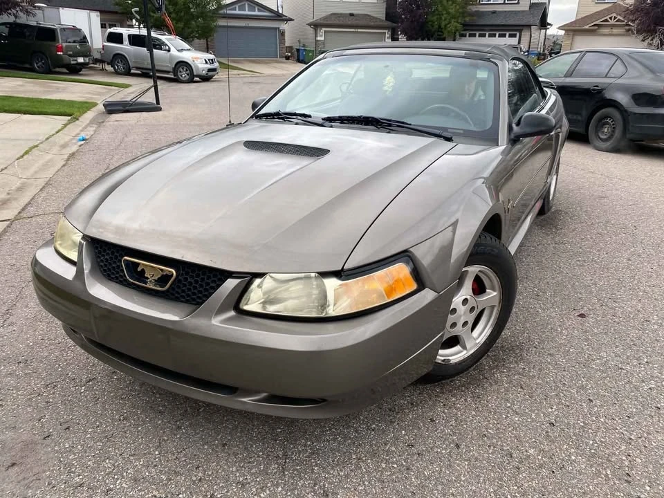 2002 Ford SN95 Mustang - Image 4 of 9