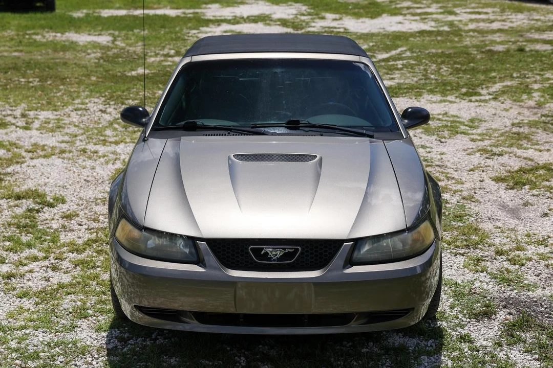2002 Ford SN95 Mustang - Image 19 of 31