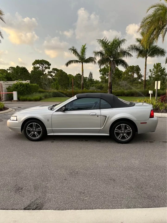 2002 Ford SN95 Mustang - Image 4 of 14