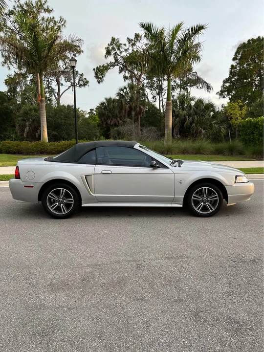 2002 Ford SN95 Mustang - Image 3 of 14