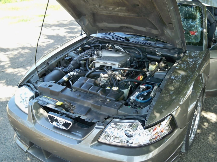 2002 Ford SN95 Mustang - Image 7 of 8