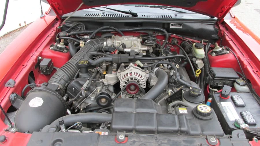2002 Ford SN95 Mustang - Image 5 of 10