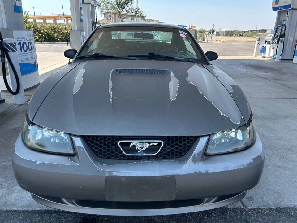2002 Ford SN95 Mustang - Image 2 of 9