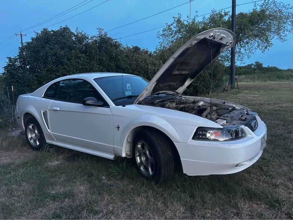 2002 Ford SN95 Mustang - Image 2 of 4