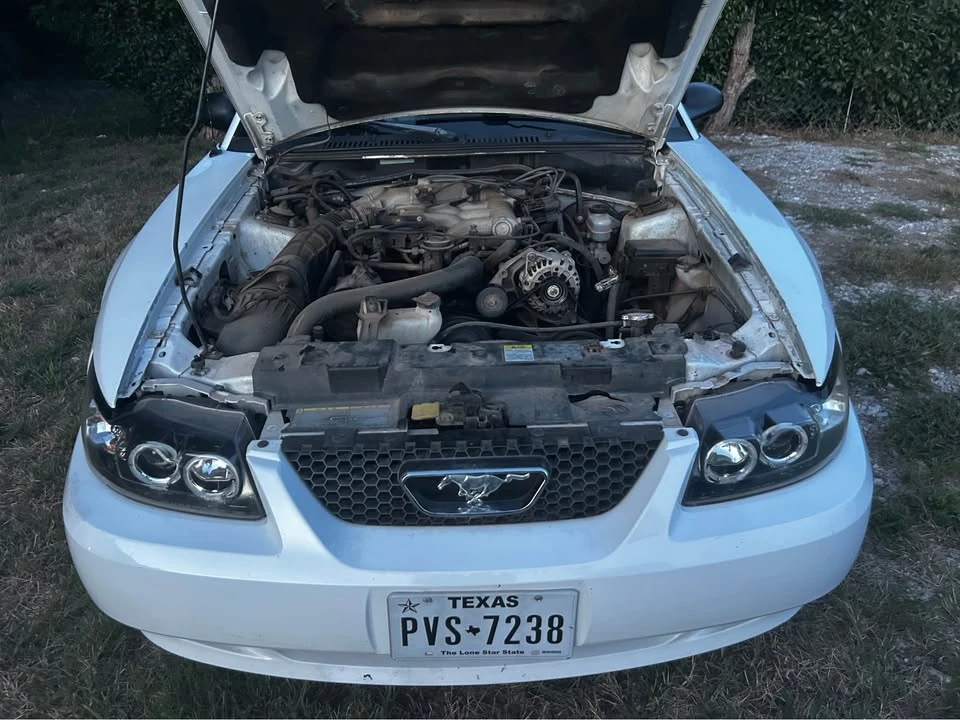 2002 Ford SN95 Mustang - Image 3 of 4