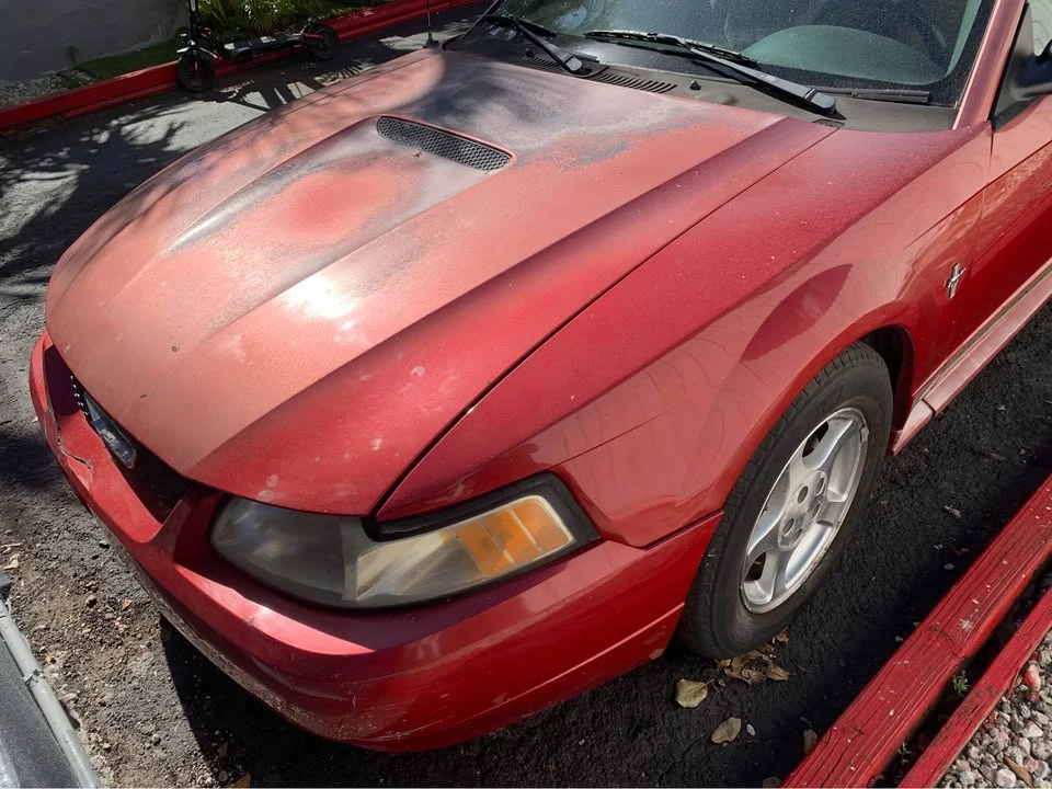 2002 Ford SN95 Mustang - Image 2 of 9